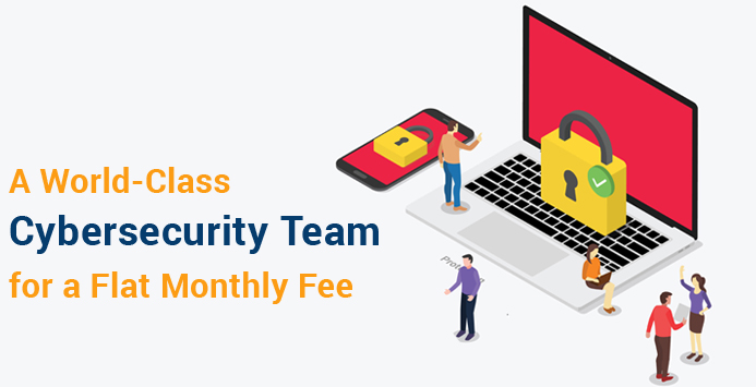 A Flat Monthly Fee for A Cybersecurity Team