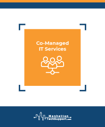 Co-Managed IT Services